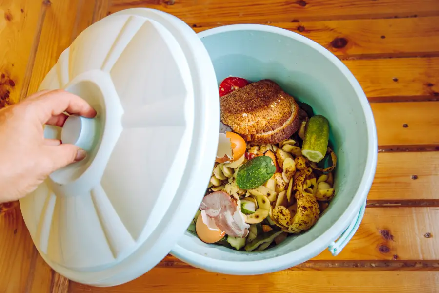 Bokashi Composting: A Guide for People Living in Small Spaces